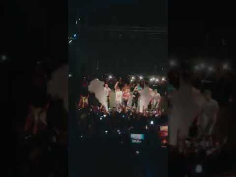 Rhove | Praja Gallipoli 2022