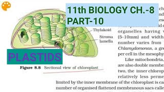 Class 11 Biology, Ch.8,Part-10||Plastids||Study with Farru