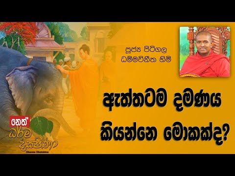 Darma Dakshina 2019.03.06 - Pitigala Dammawinitha Himi