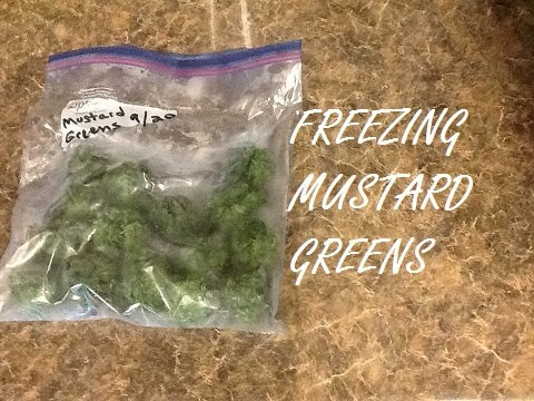 How to Freeze Mustard Greens/Step-by-Step Tutorial