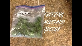 How to Freeze Mustard Greens/Step-by-Step Tutorial