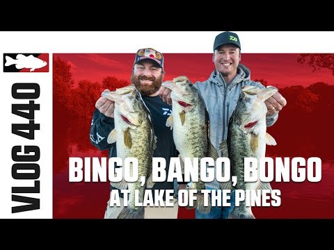 Bingo, Bango, Bongo with Cody Meyer - Tackle Warehouse VLOG 440