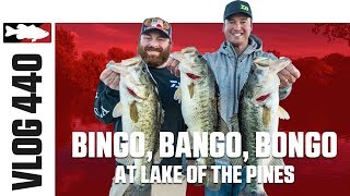 Bingo, Bango, Bongo at Lake of the Pines w. Cody Meyer