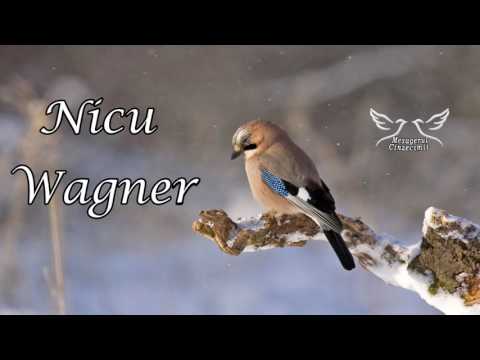 Nicu Wagner - Cantati Domnului!