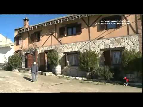 download lagu mp3 mp4 Criadero Dogo Canario, download lagu Criadero Dogo Canario gratis, unduh video klip Criadero Dogo Canario