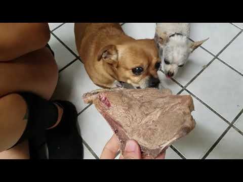 Cooking 32oz T-Bone Steaks for the Dogs