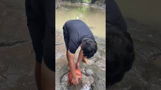 Download lagu DRAIN THE RIVER TO GET CHANNA FISH!!! #channa #fishing #fish mp3 Download lagu DRAIN THE RIVER TO GET CHANNA FISH!!! #channa #fishing #fish mp3