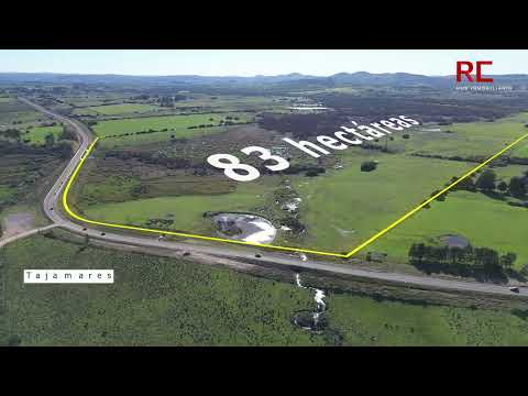 Campo de 83 ha en VENTA en Maldonado | Ruta 12, a 25 minutos de Punta Ballena