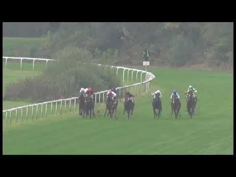 KV, 28. 9. 2017, 6. dostih - 36. DS PEGAS Cena zimní královny