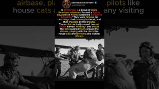 Meet Whiskey &amp; Soda: The LION Mascots of WWI