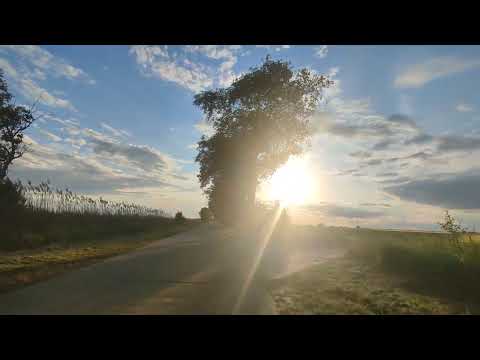 Jedan sasvim obican dan