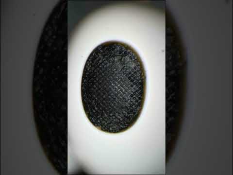 How To Fix Low Volume AirPods By Cleaning Them