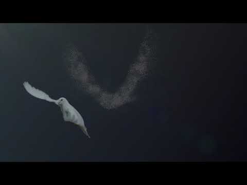 PATRICK HAMILTON - Find your way home (OFFICIAL VIDEO)