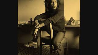 Roots Rock Dub - Bob Marley and The Wailers