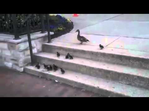 Ye mat kaho khuda se