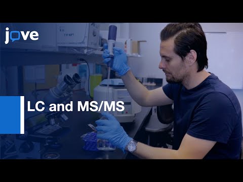 LC and MS/MS for Quantitative Metabolomics of Baker's Yeast | Protocol Preview