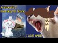 Aristocats 2 The Cancelled Sequel