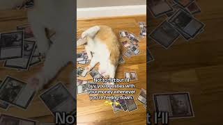 #mtg #magicthegathering #tcg