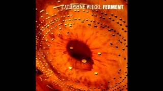 Catherine Wheel - Salt