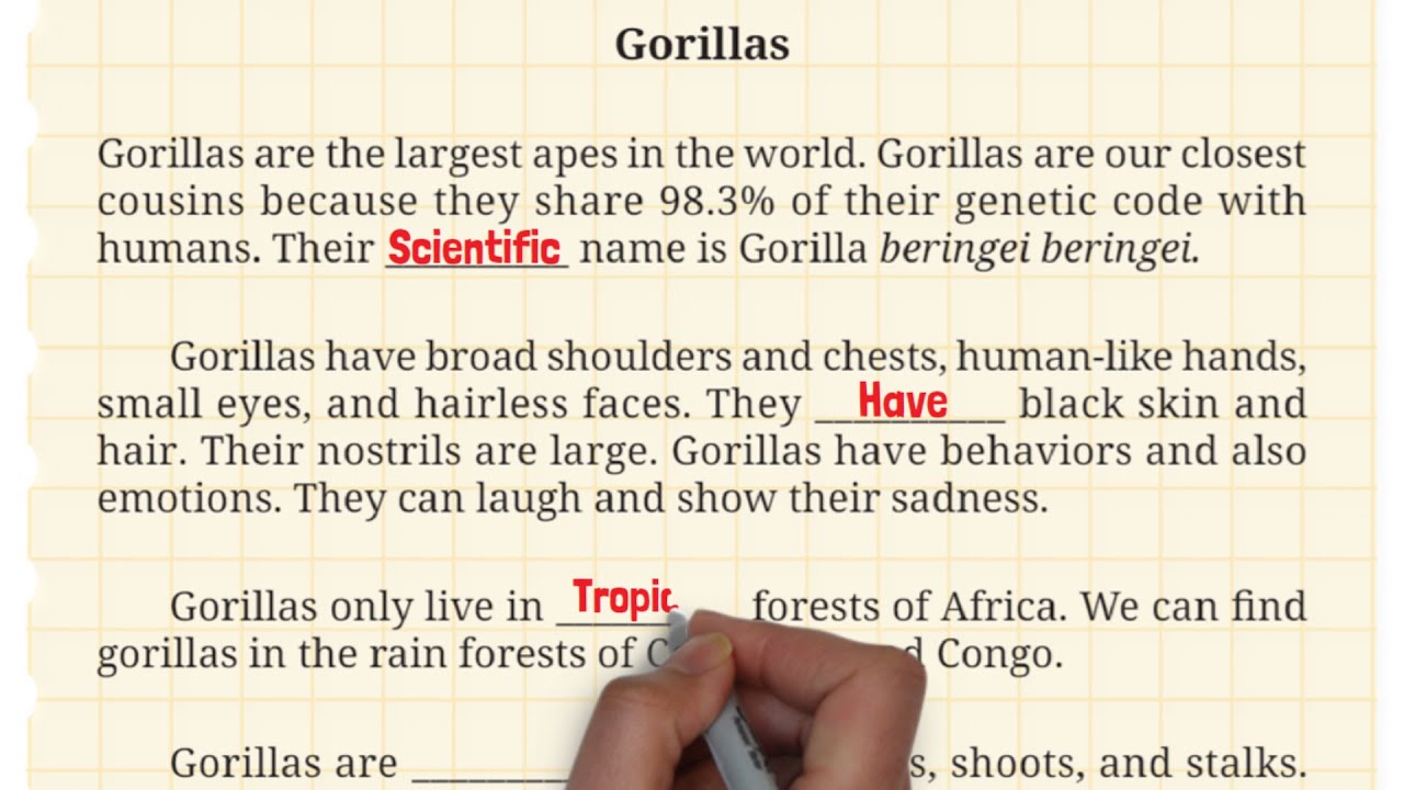 Kunci Jawaban Bahasa Inggris Kelas 9 Halaman 54 55 56 Gorillas Fill in The Blanks