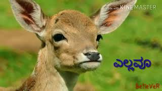 akira| hey hudugaru ella| anish tejeshwar| whatsapp status | love status