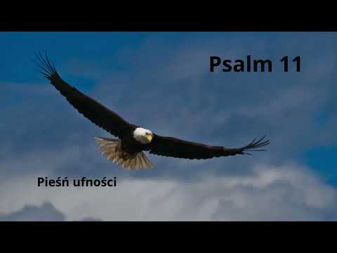 Psalm 11- ufam Bogu mimo przeciwności- psalm siły