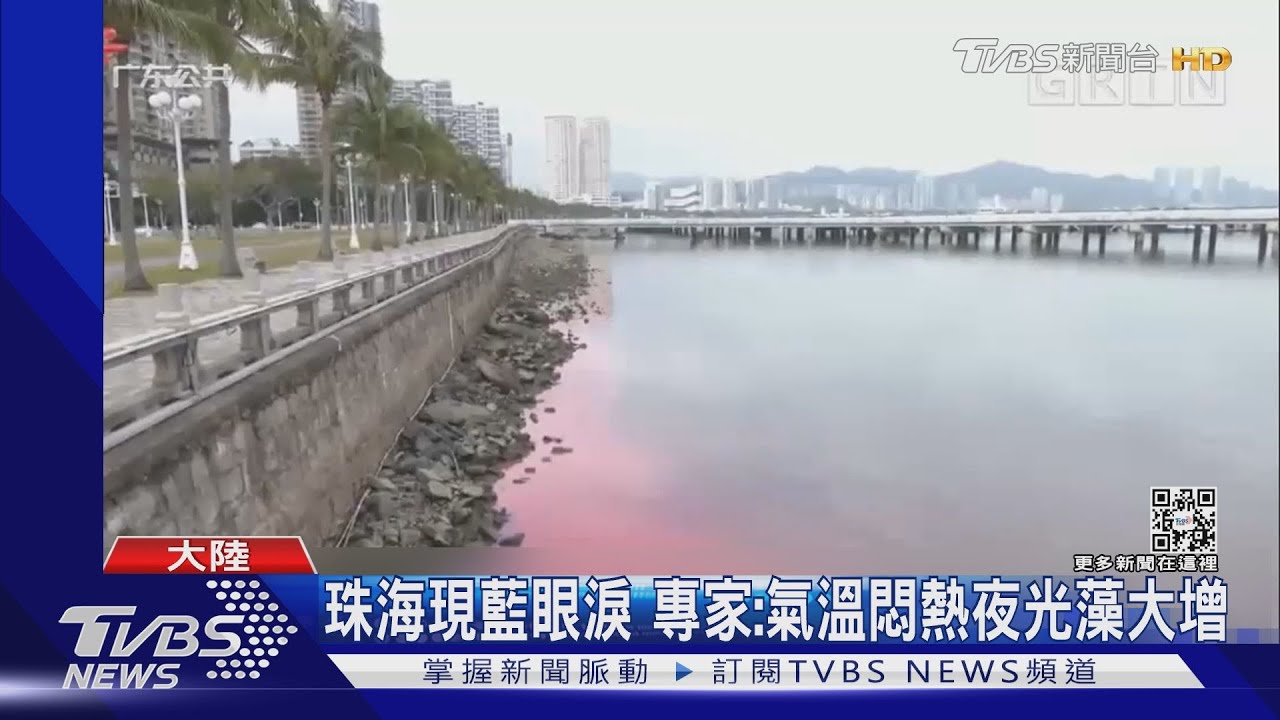 珠海水域爆「赤潮」 白天粉紅晚上變螢光藍