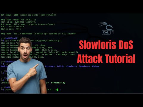 How to Perform a Slowloris DoS Test Safely | Ethical Hacking Tutorial in Kali Linux