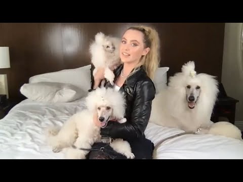 凱瑟琳-牛頓在回答粉絲問題時與她的狗玩耍。 (Kathryn Newton Plays With Her Dogs While Answering Fan Questions)