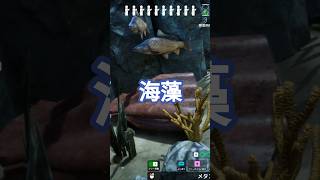 バレる？バレない？海藻になってみた【#めっちゃカメレオン】