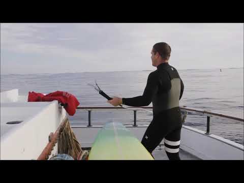 Cortes Bank el monte submarino que genera olas gigantes