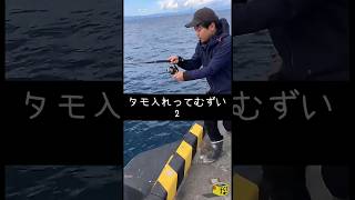【伊豆大島釣り】大きい魚のタモ入れってむずい② #short