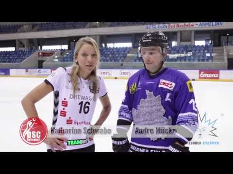 Dresdner SC 1898 - VT Aurubis Hamburg am 18.11.2013