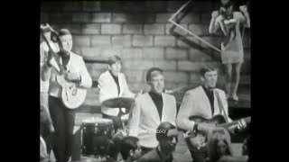 NEW 📀 Louie Louie - The Kingsmen {DES Stereo} 1963