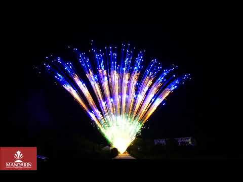 100s Fan shape 1.3G cake