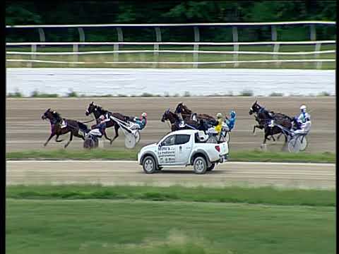 Trotto 01/06/2019 - 2ª corsa