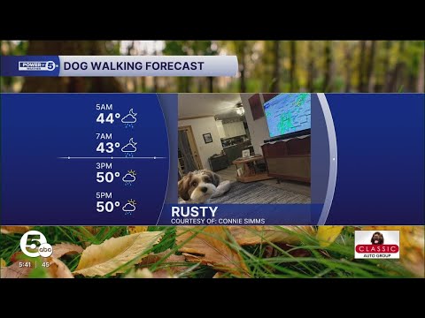Your October 23 dog walking forecast - YouTube