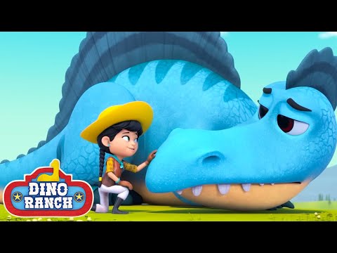 Helping Dino's Big and Small! | Dino Ranch