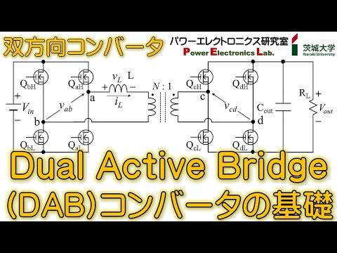 シリコントランスポーターとしてのカバ