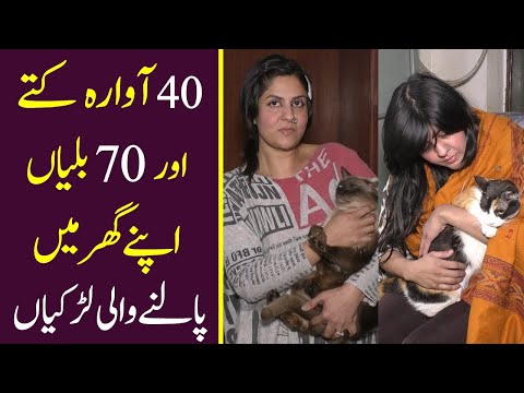 2 Sisters Who Loves Cat's and Dogs | National Point