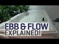 Ebb and Flow Hydroponics Explained!