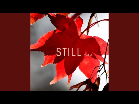 download lagu mp3 mp4 Infuzit, download lagu Infuzit gratis, unduh video klip Infuzit