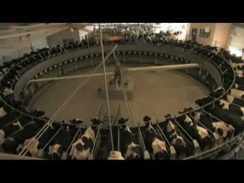 GEA Farm Technologies - AutoRotor Magnum & Global