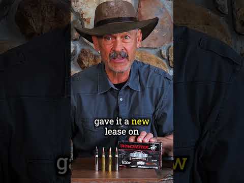 Browning AB3 Bolt Action Rifle!