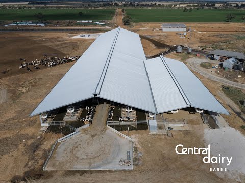 Dairy Barns - Dehne Vinnicombe