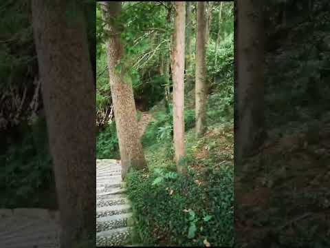 PARCO PALLAVICINO   STRESA🍓💗😍