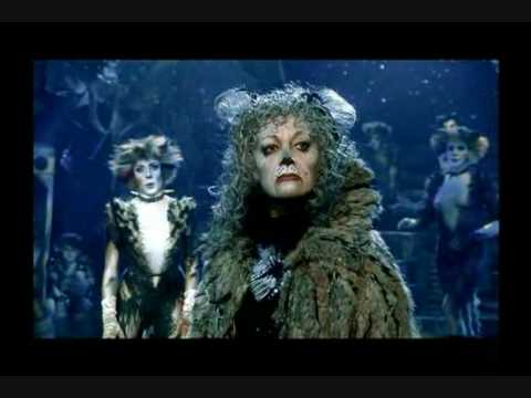 06 Cats - Grizabella the Glamour cat