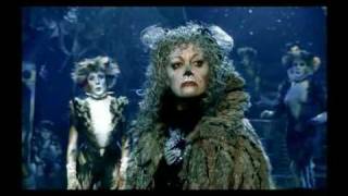 06 Cats - Grizabella the Glamour cat