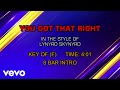 Lynyrd Skynyrd - You Got That Right (Karaoke)