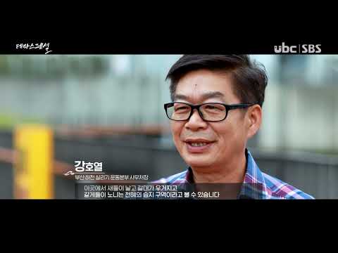 [테마스페셜] 다시 숨쉬는 낙동강 -연어가 돌아왔다